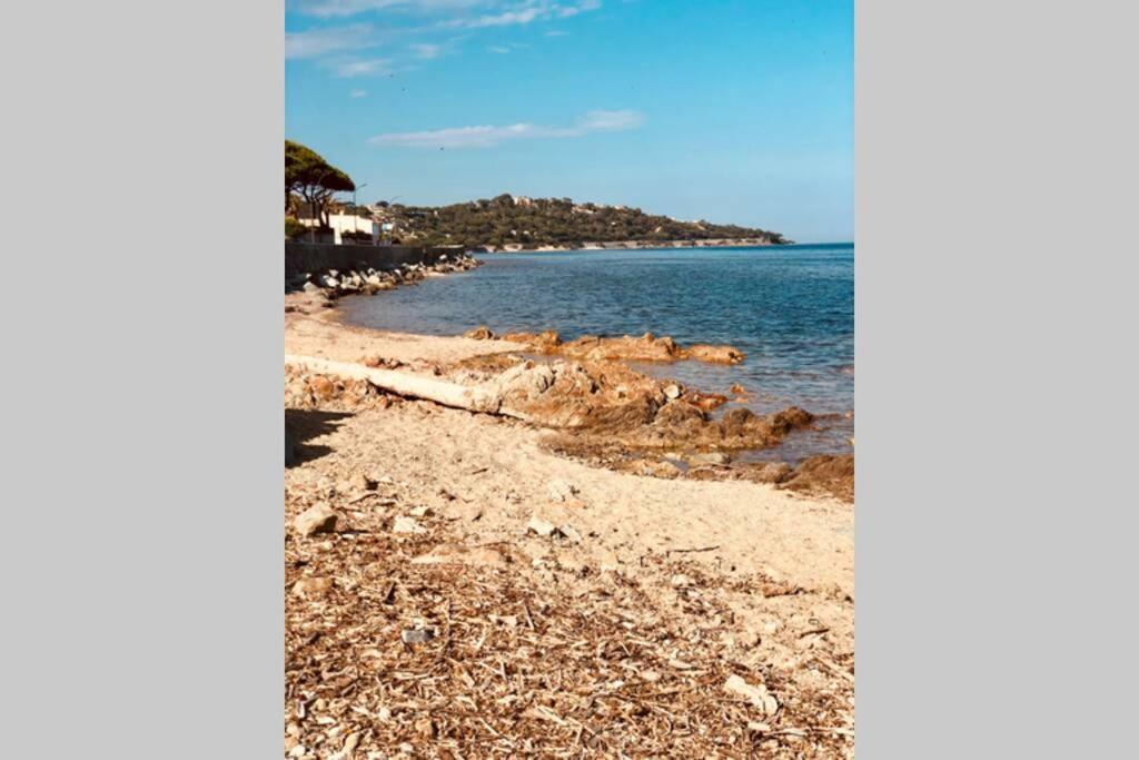Charmant Studio Avec Terrasse Vue Mer A 50 M Sainte-Maxime Eksteriør bilde